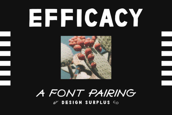 Efficacy Display Font Review for Creative Branding Projects