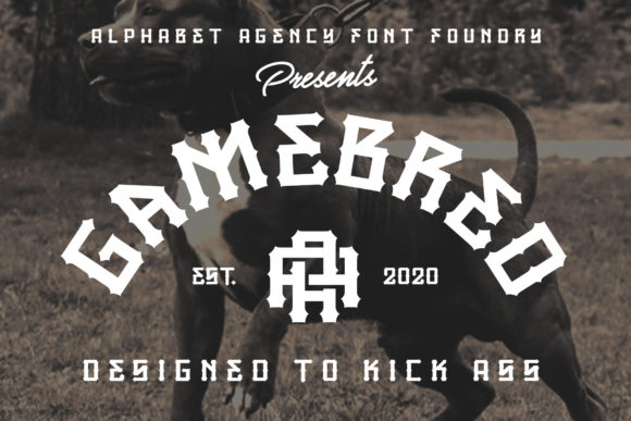 Gamebred Font: A Bold Display Typeface for Strong Branding
